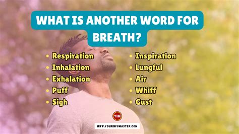 another word for breath of fresh air.
